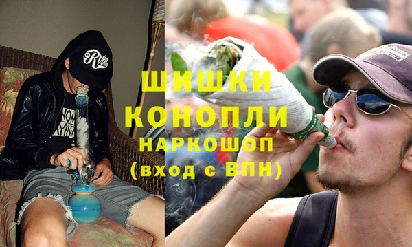 сатива Куйбышев