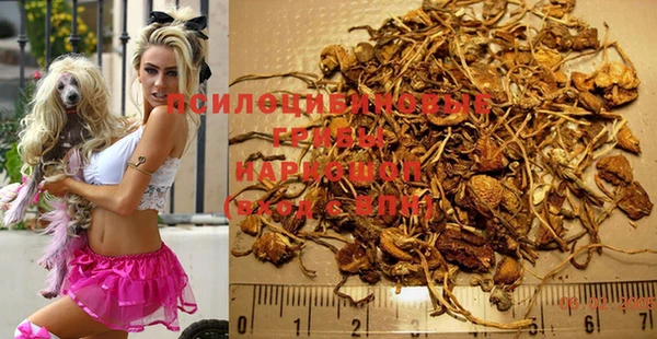экстази Коряжма