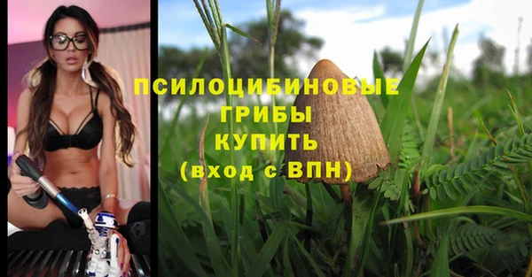 хмурый Кулебаки