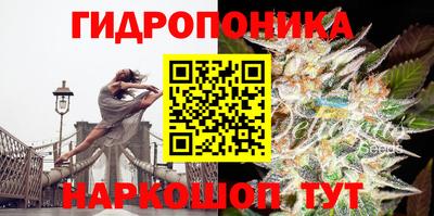 эйфоретик Камышлов