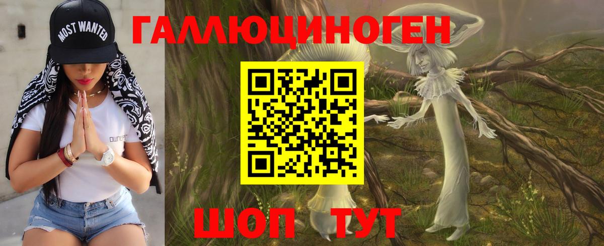 Псилоцибиновые грибы Psilocybine cubensis  Вход с VPN  Кудымкар 