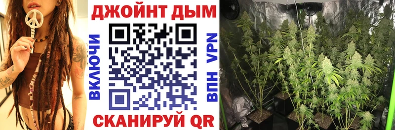 купить наркоту  Кудымкар  мориарти клад  Канабис сатива 