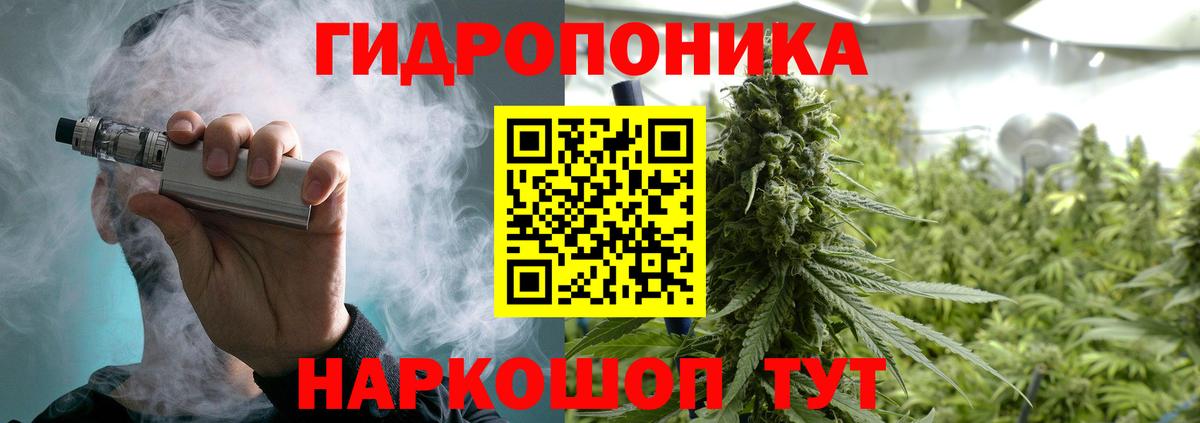 Каннабис тримм  Вход с VPN  Бошки марихуана конопля  Каннабис ГИДРОПОН  Кудымкар 